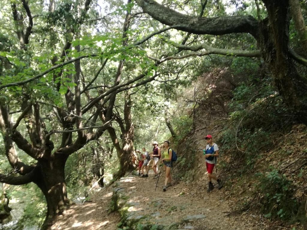 Dimossari Gorge