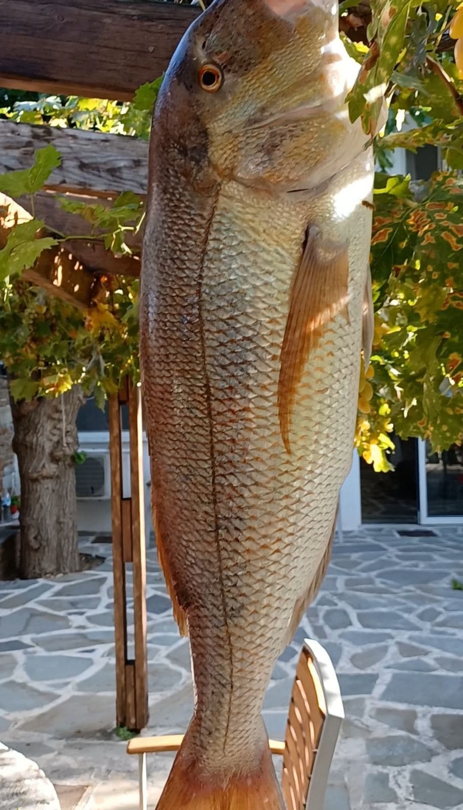 Fishing