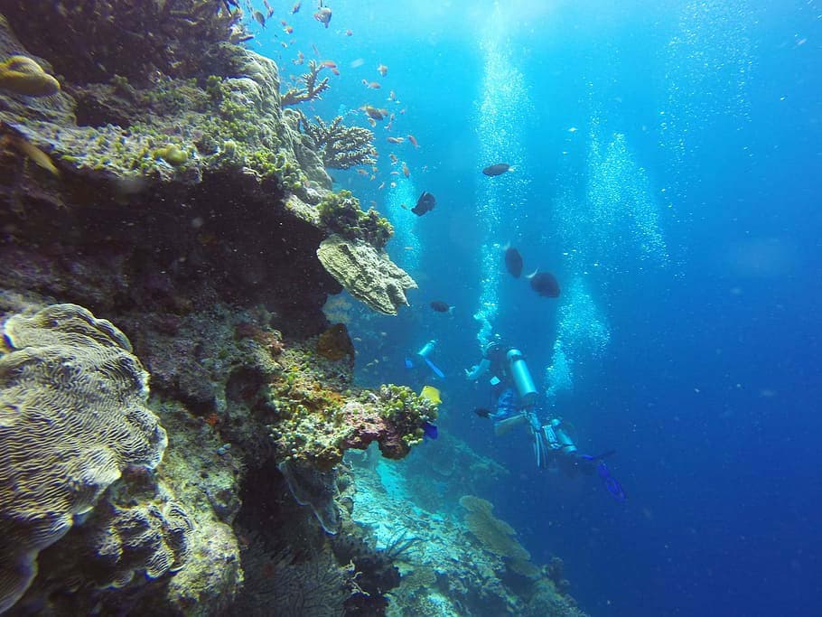 Scuba Diving